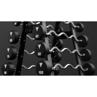EZ Curl Barbell